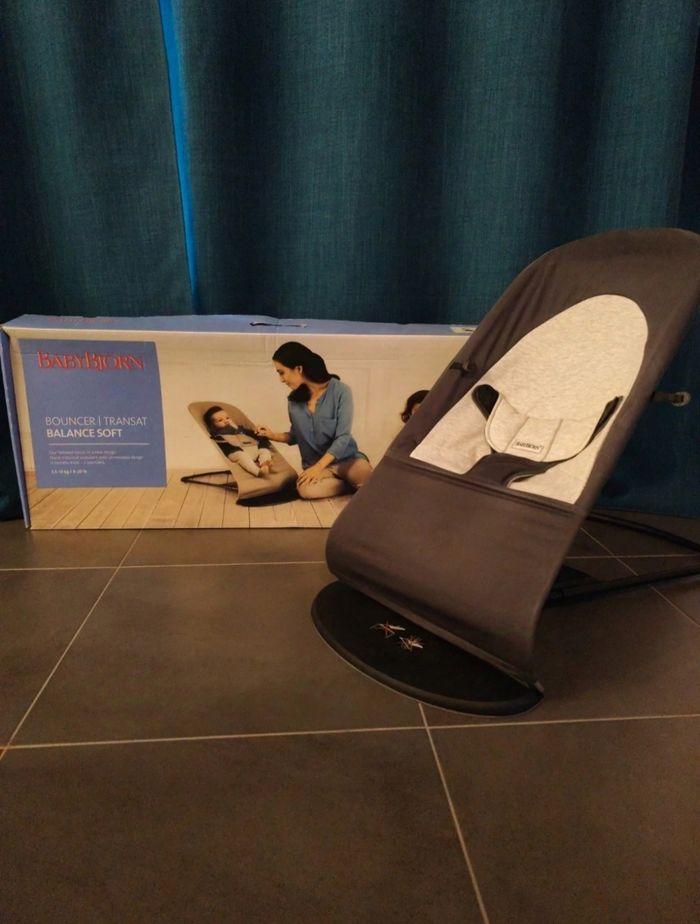 Transat BabyBjorn - photo numéro 1