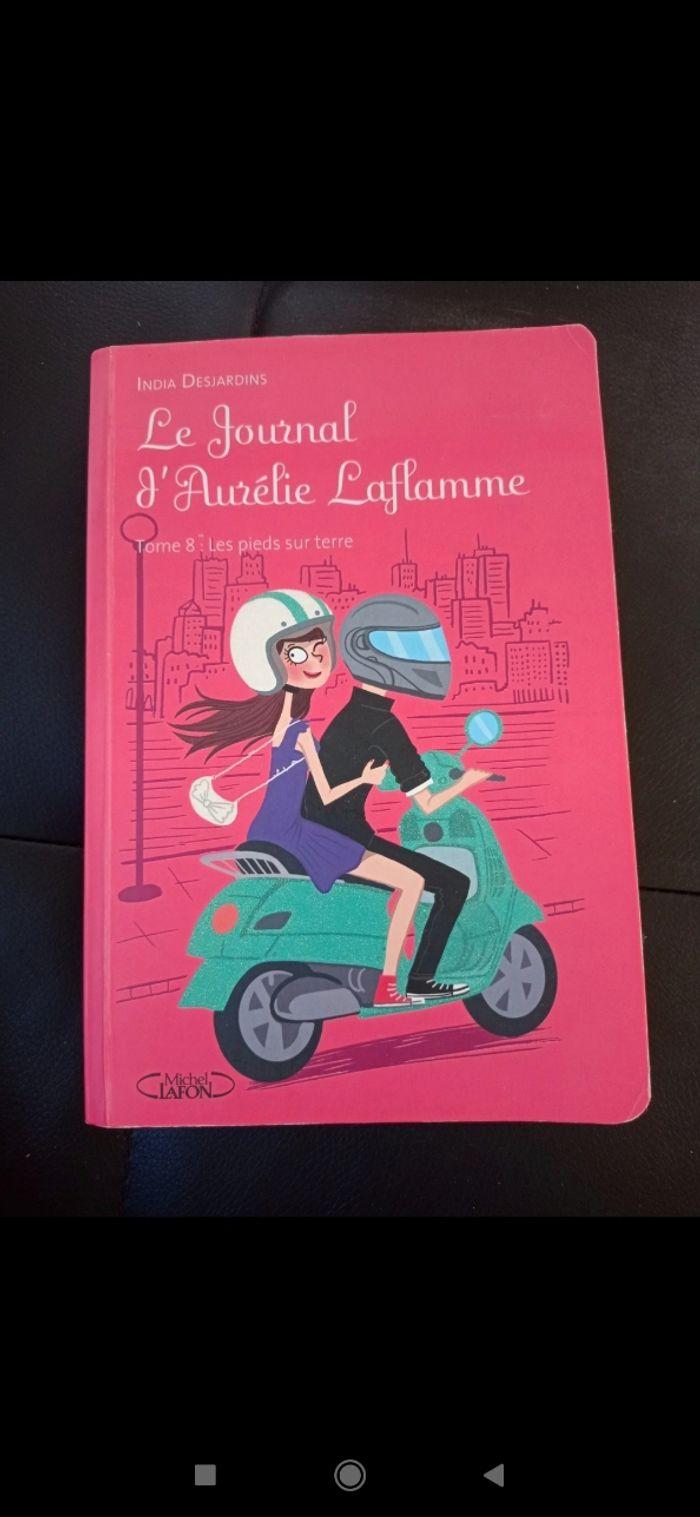 Livre : le journal d'Amélie Laflamme