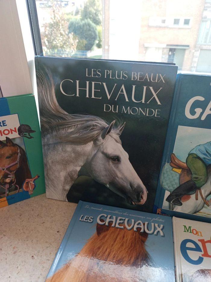 Lot de livres sur les chevaux - photo numéro 5