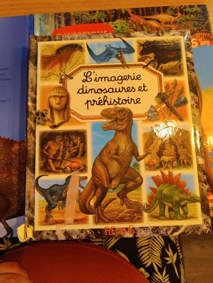 Livres sur les dinosaures - photo numéro 5