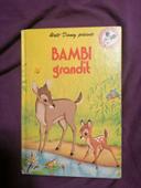 Livre Bambi Walt Disney