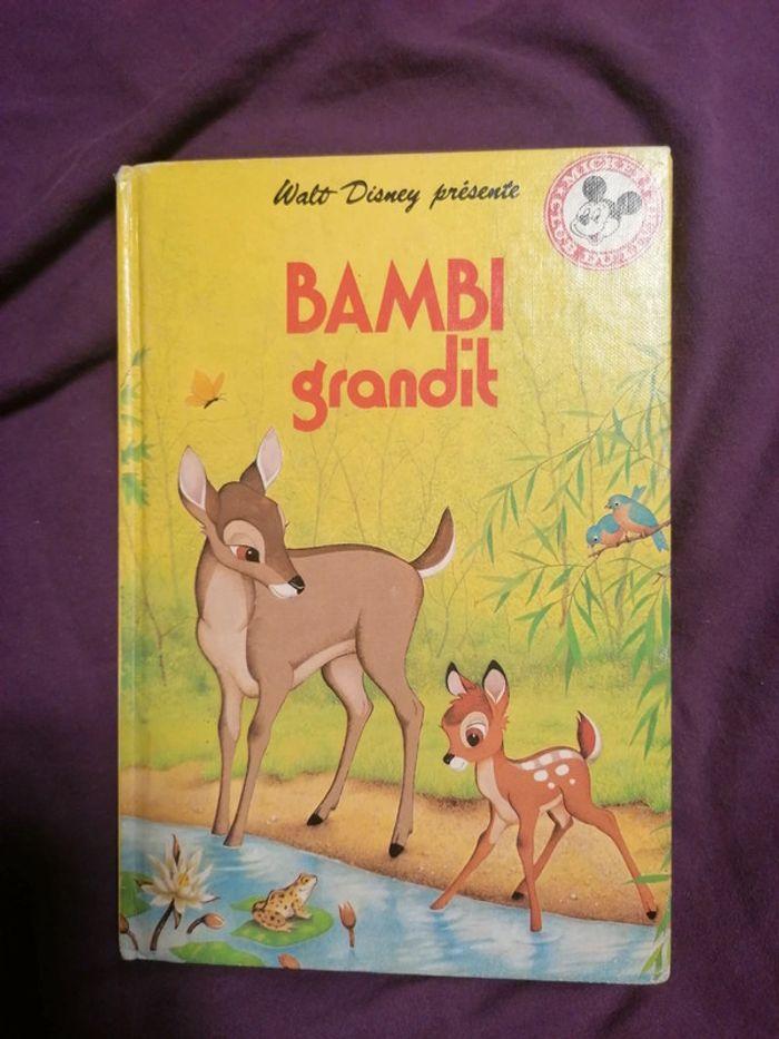 Livre Bambi Walt Disney - photo numéro 1