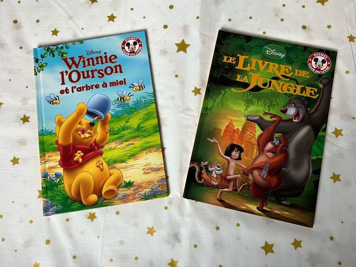 Livres Disney - photo numéro 4