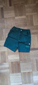 Short gris vert