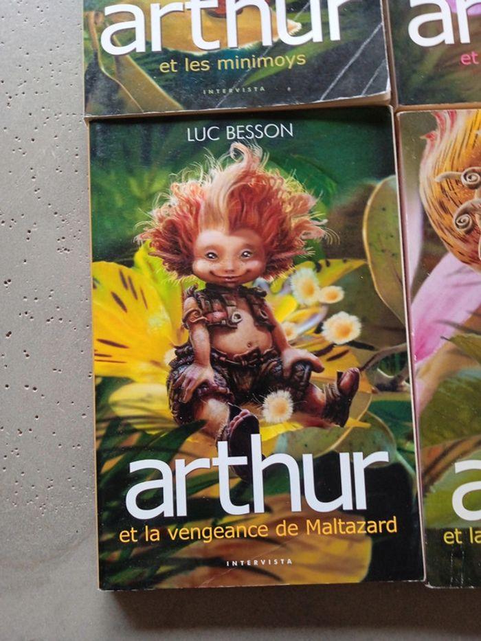 Arthur et les Minimoys tome 1,2,3,4 - photo numéro 4