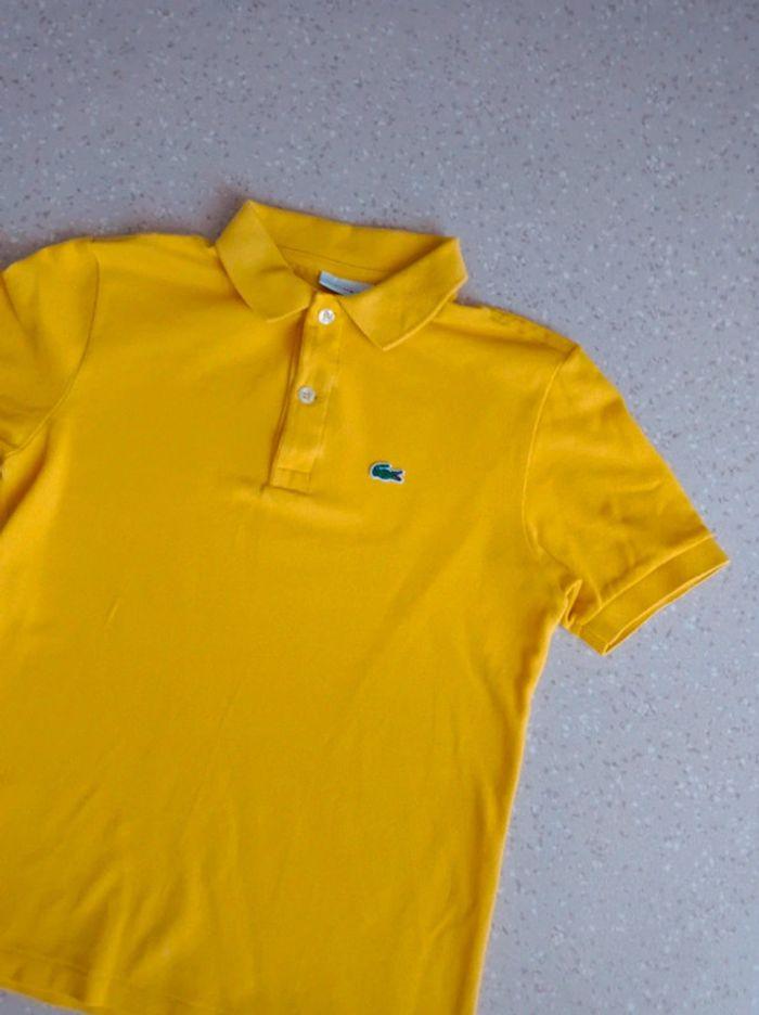 Polo Lacoste 12 ans - photo numéro 2