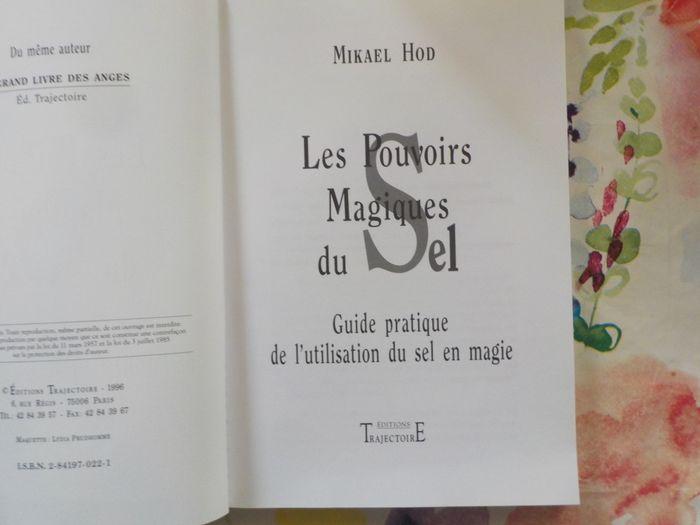 LES POUVOIRS MAGIQUES DU SEL par Mikael HOD Ed. Trajectoire - photo numéro 6