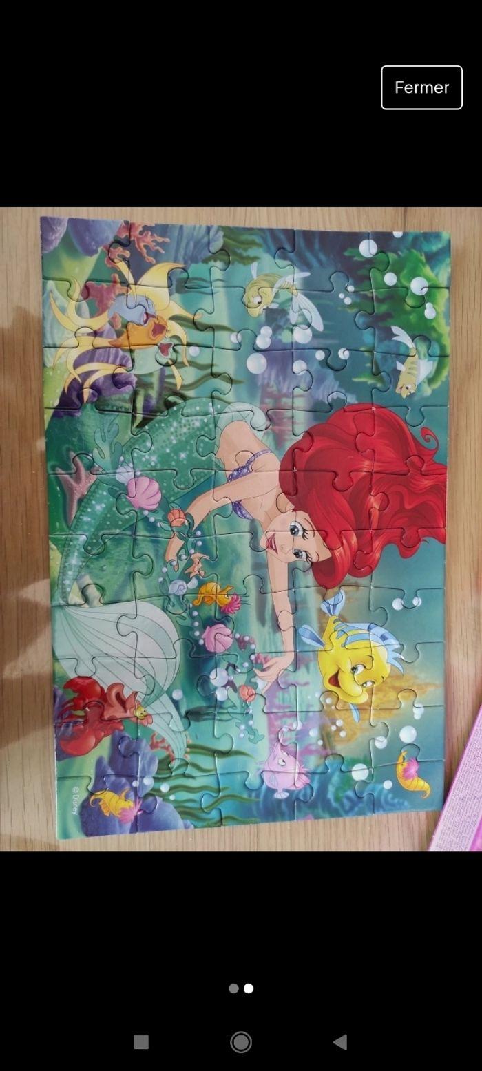 Puzzle Ariel - photo numéro 2