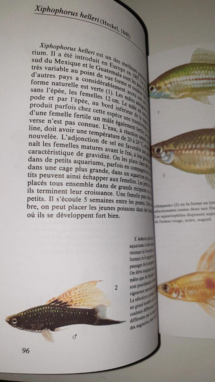 Livre poissons d aquarium - photo numéro 4