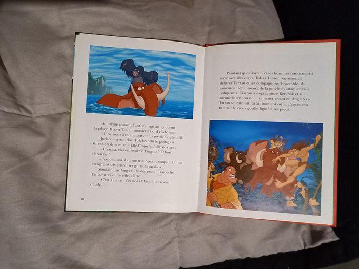 Livre Tarzan Disney Hachette - photo numéro 3