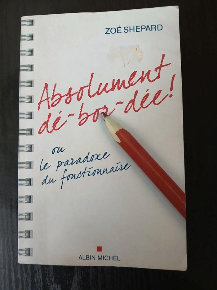 Absolument dé-bor-dée - photo numéro 1