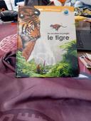 Un roi dans la jungle le tigre