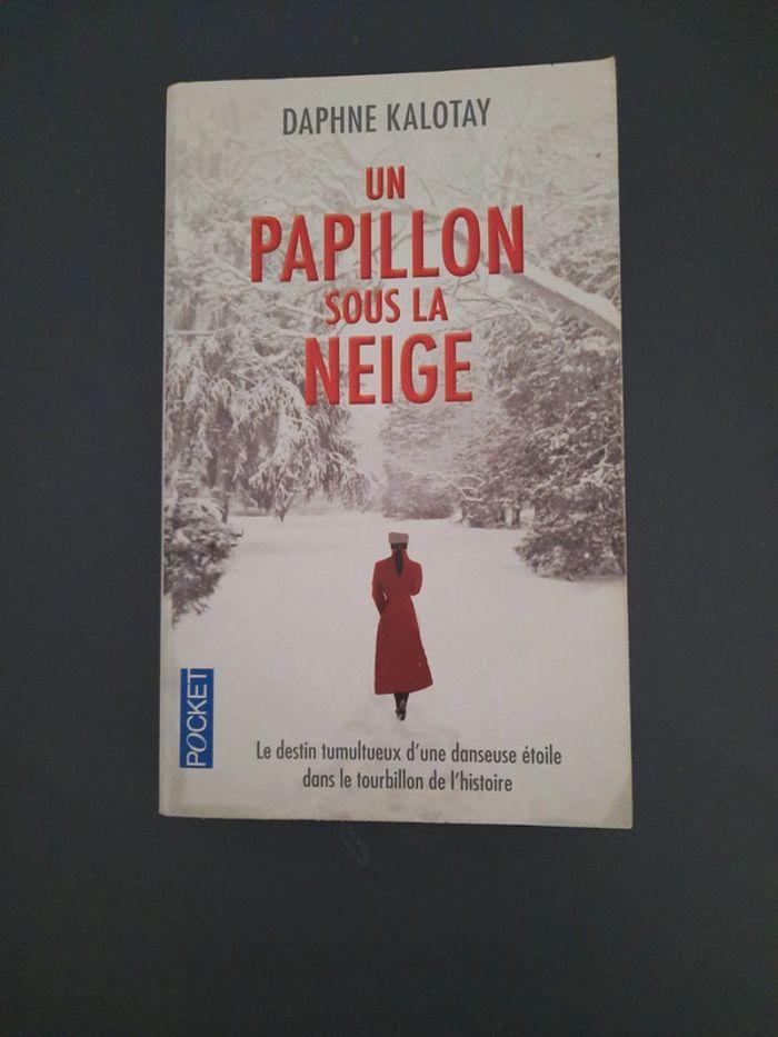 Un papillon sous la neige - photo numéro 1