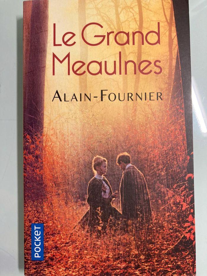 Le Grand Meaulnes de Alain-Fournier - photo numéro 1