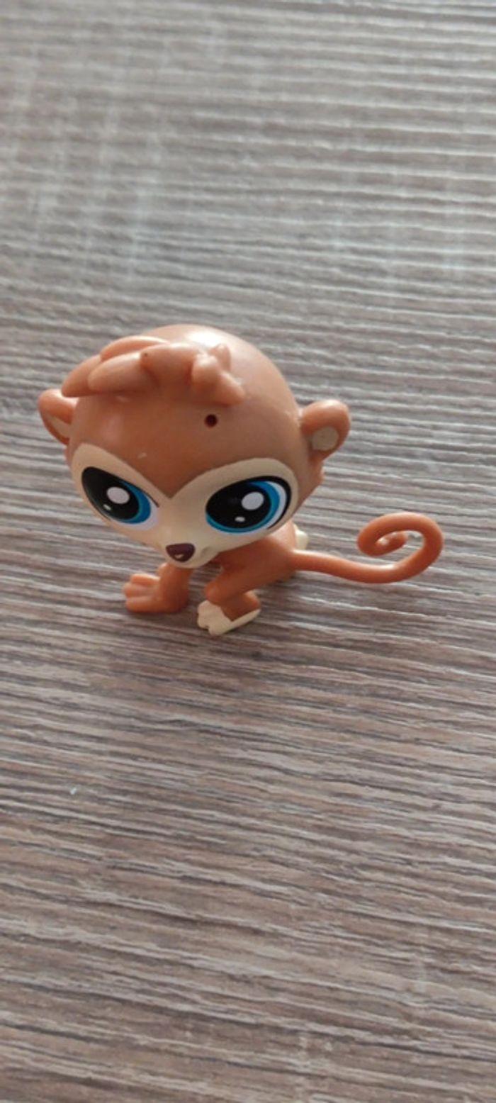 Singe Littlest Pet Shop - photo numéro 1