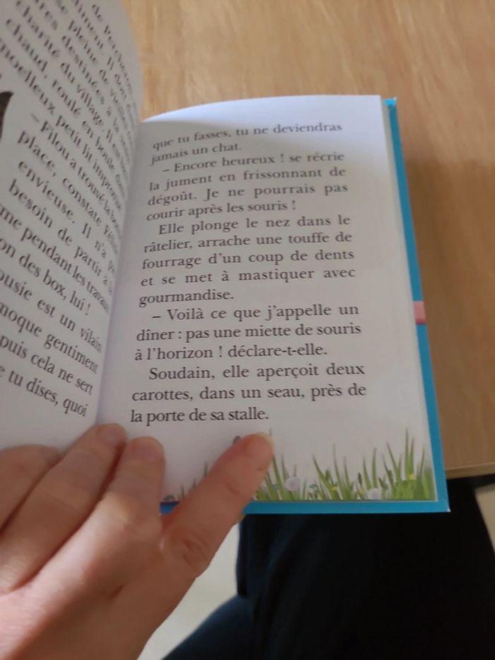 Livre n°13 "Moustique a mal aux dents" de Mes amis les chevaux" - photo numéro 5