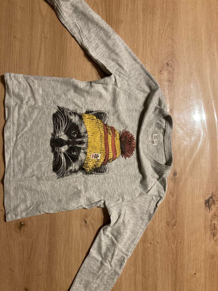 Vend teeshirt gris taille 3 ans - photo numéro 3