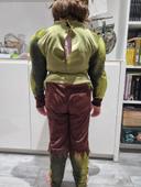 Deguisement hulk