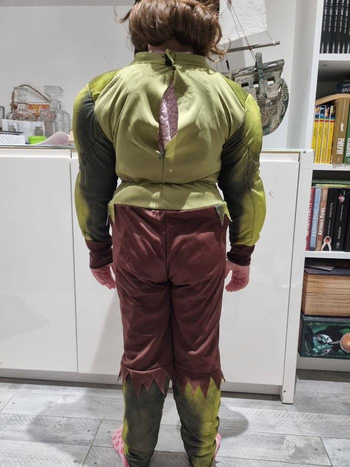 Deguisement hulk - photo numéro 1