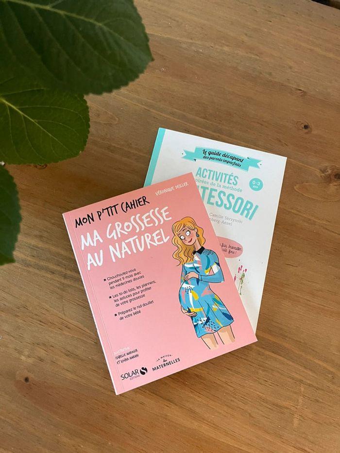 Lot de 2 livres Grossesse/ parentalité - photo numéro 1