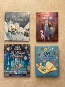 Lot livres reine des neiges