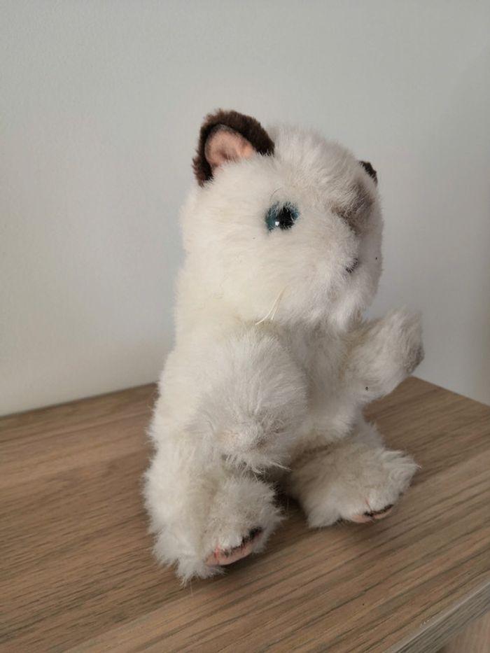 Peluche petit chat - photo numéro 2