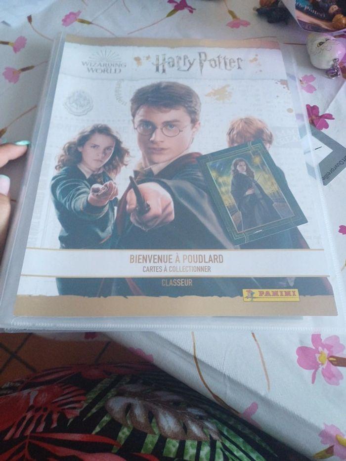 Album + carte harry potter - photo numéro 1