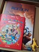 Livre Disney roi lion