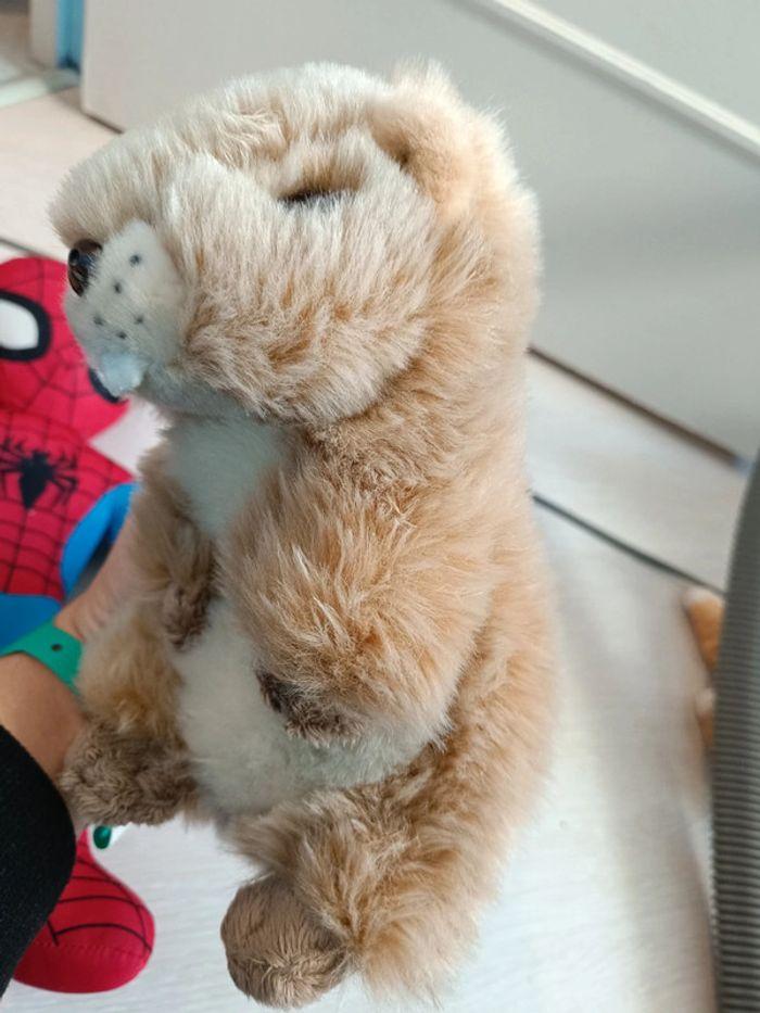 Peluche marmotte toute douce - photo numéro 3