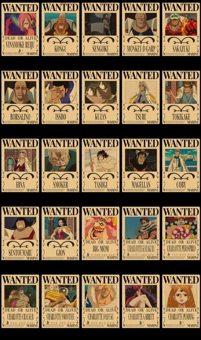 Poster wanted one piece - photo numéro 5