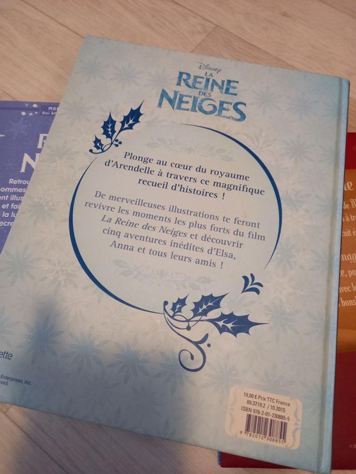 Livres Reine des neiges - photo numéro 5