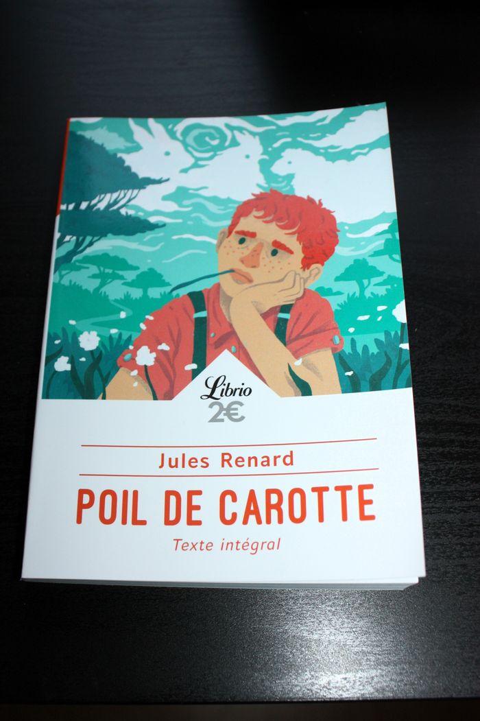 Poil de carotte - Jules Renard - littérature classique + dossier pédagogique - comme neuf - photo numéro 1