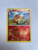 Cartes Pokémon Caninos 10/122