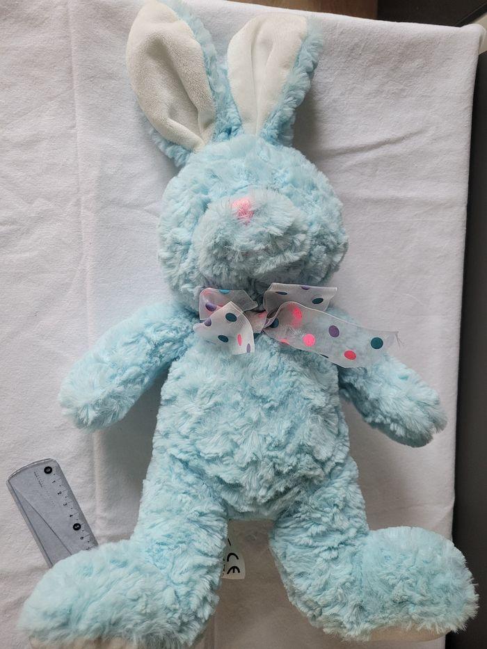 Lapin bleu - photo numéro 2