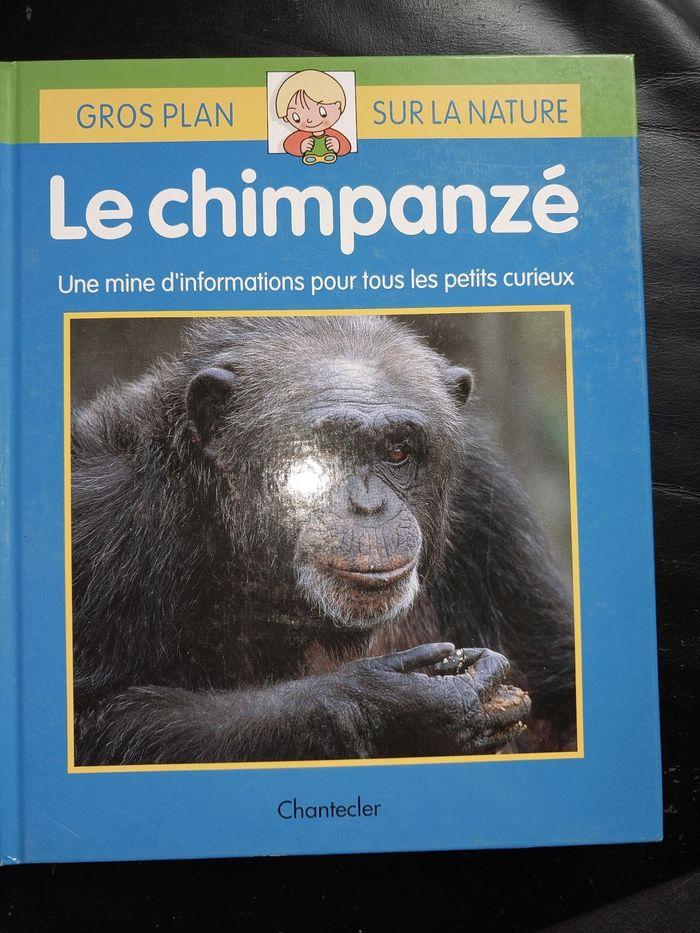 Livre - photo numéro 1