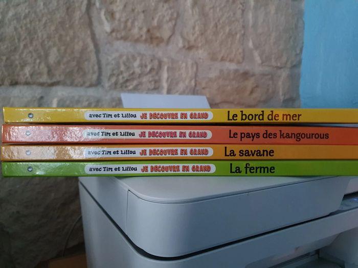 Lot de 4 grands livres