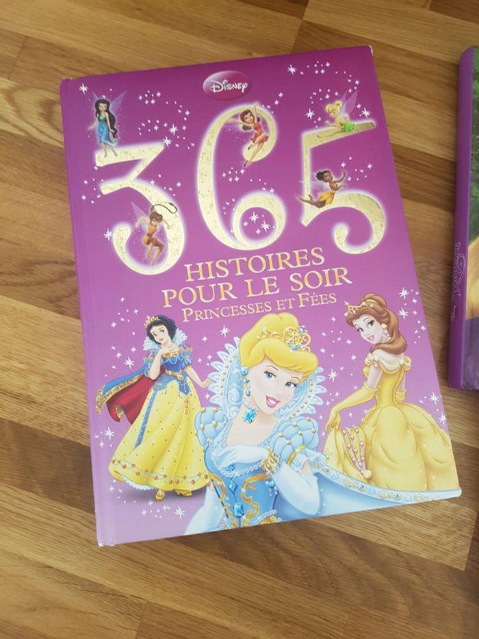 Lot de 6 livres Princesses Disney - photo numéro 2