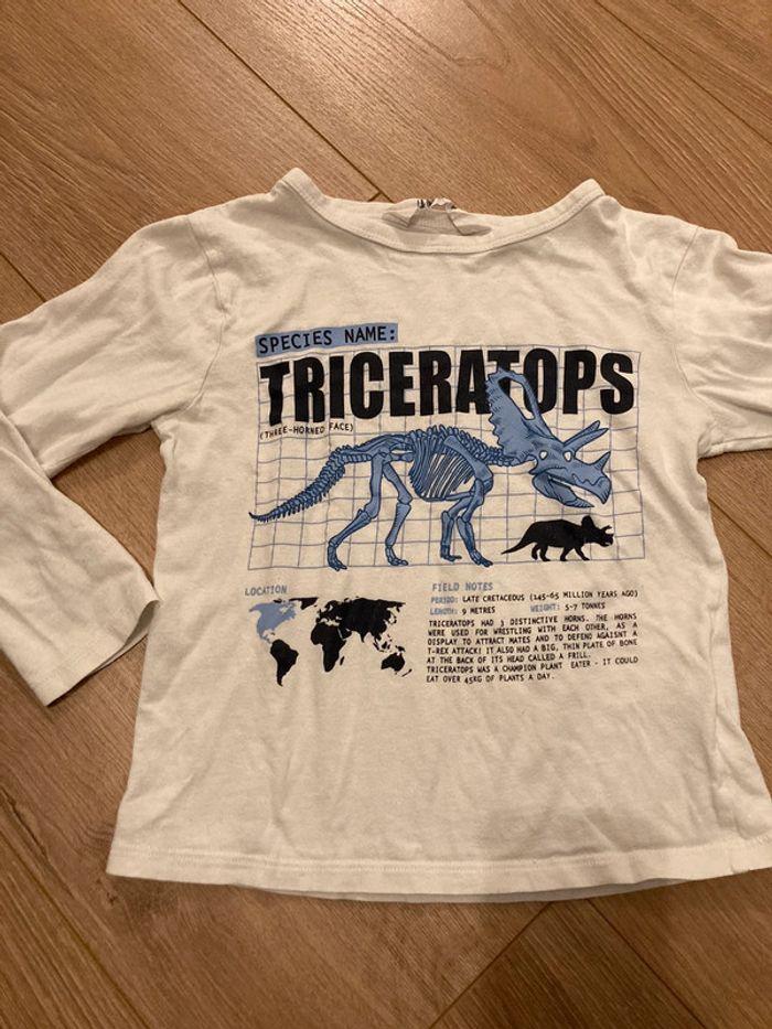 Lot 5 t-shirt 6 ans thème dinosaure - photo numéro 5