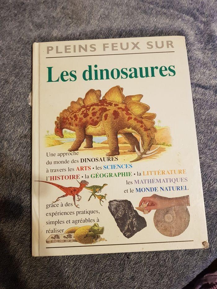 Lot de 5 livre dinosaure - photo numéro 6