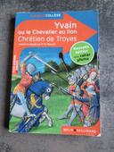 Yvain ou le chevalier au lion