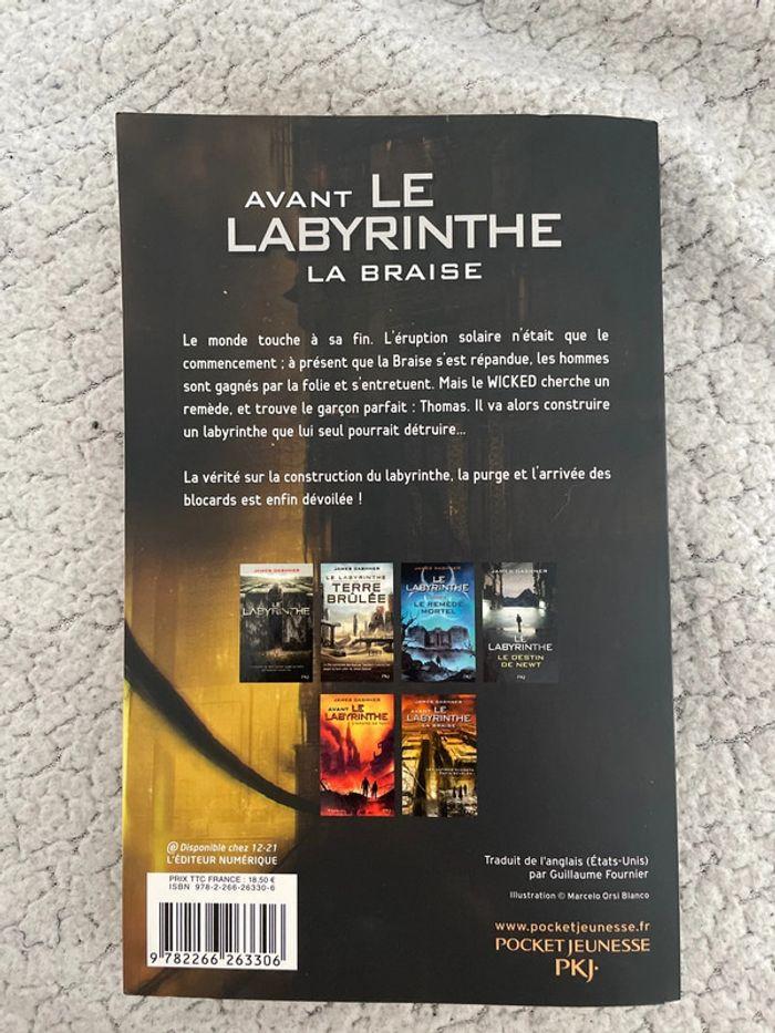 Livre le labyrinthe la braise de James Dashner - photo numéro 2