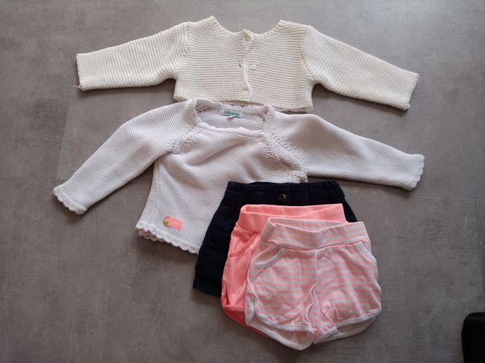 Lot gilets et shorts