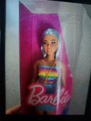 Barbie fashionistas