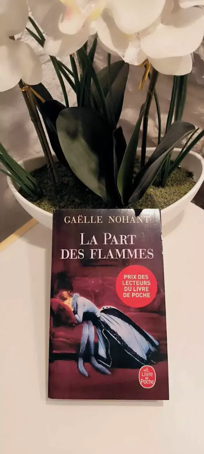 livre La Part Des Flammes - gaëlle nohant comme neuf - photo numéro 1