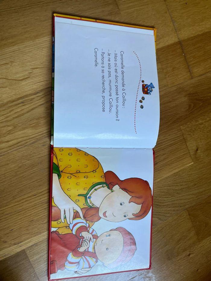 Livre « caillou » - photo numéro 2