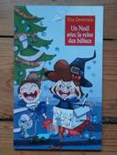 Livre jeune lecteur Un Noël avec la reine des bêtises