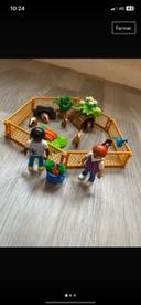 Enfants avec petits animaux playmobil