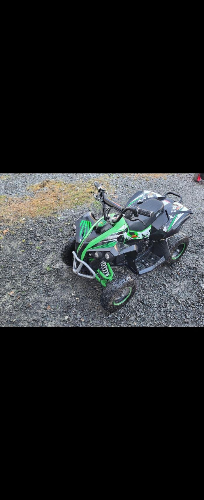 Quad électrique 1000W 36v - photo numéro 2