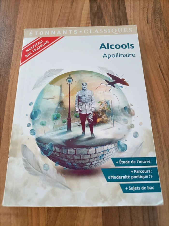 Livre Alcools d'Apollinaire Bac français 📚 - photo numéro 1