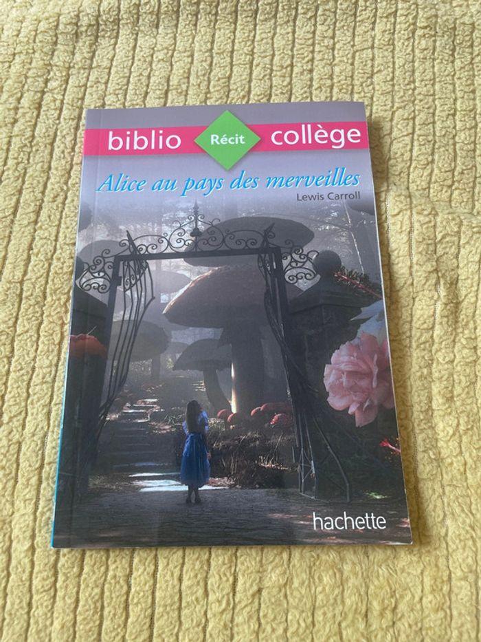 Livre Alice aux pays des merveilles - photo numéro 1